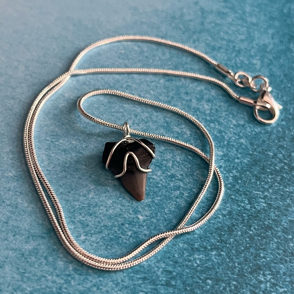 Wire wrapped Shark tooth necklace